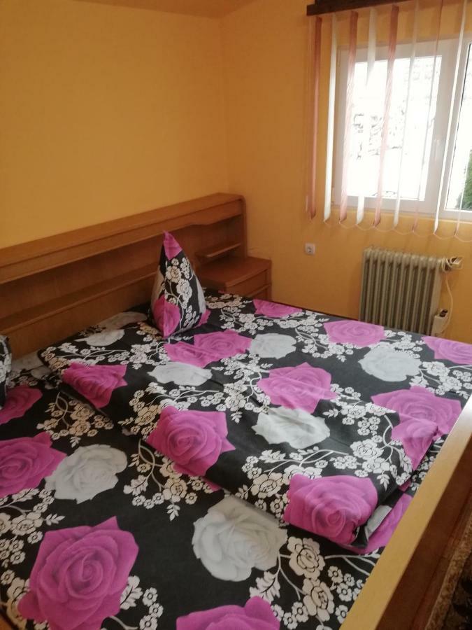 Pension, Camping & Biker Station Zur Deutschen Eiche Ciocanesti Экстерьер фото